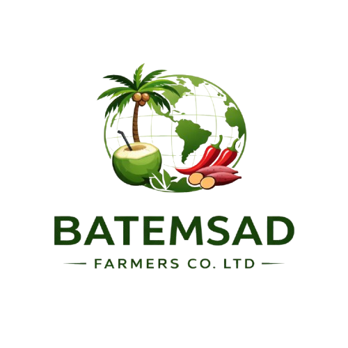 batemsad logo 2 removebg preview