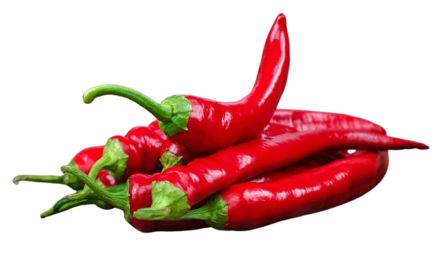 Fresh Chili