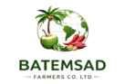 batemsad logo 2 removebg preview