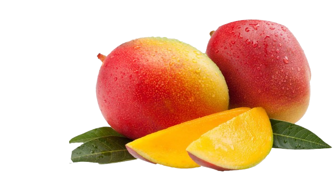 Kent Mango