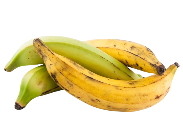 Green Plantain
