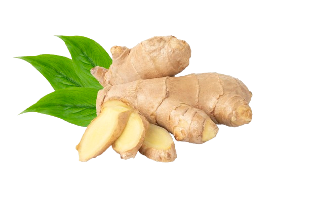 Fresh Ginger
