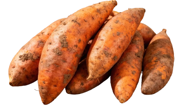 Fresh Sweet Potatoes