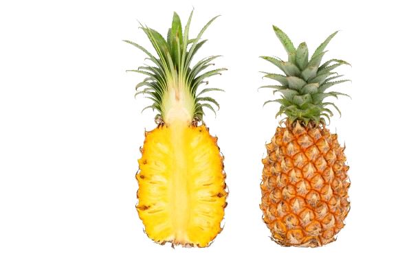 Fresh Pineapple